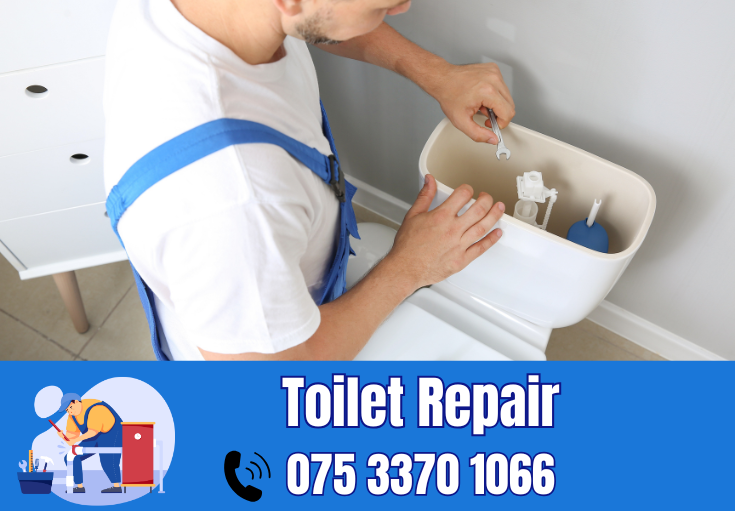 toilet repair Gravesend